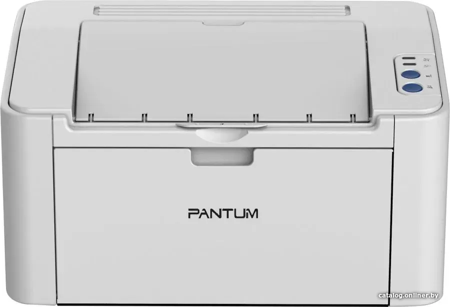 Pantum P2506W