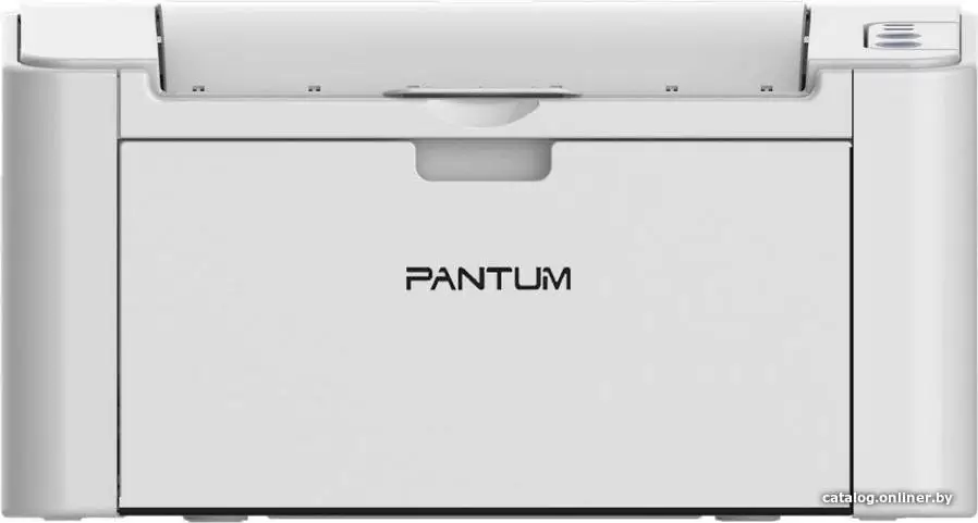 Pantum P2506W