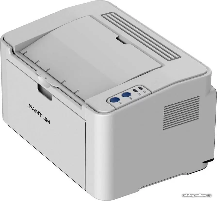 Pantum P2506W